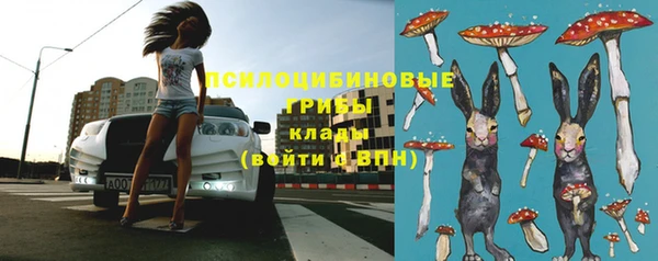 хмурый Приозерск