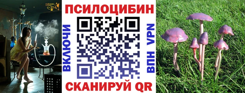 Галлюциногенные грибы MAGIC MUSHROOMS  Купить закладки  Кохма 